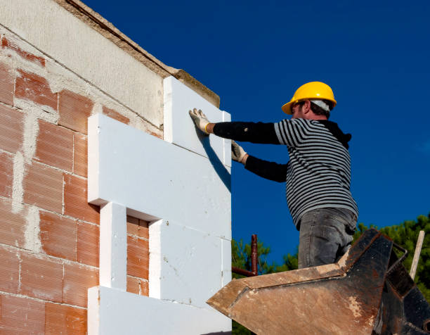 Best Types of Insulation in Amboy, IL