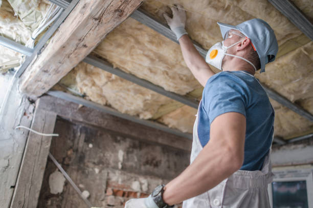  Amboy, IL Insulation Contractor Pros