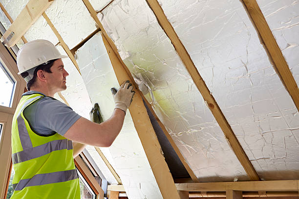 Best Types of Insulation in Amboy, IL