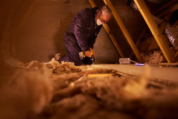 Best Insulation for Specific Applications in Amboy, IL
